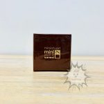 F0053 NEW Miniatuart Kit Miniatuart mini paper-kit sankei Studio Ghibli #01 Sankei ( (4)