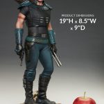 256P PRE-ORDER Star Wars Cara Dune Premium Format Figure Sideshow (4)