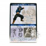 FBD0005 NEW Dragon ball DRAGON BALL Styling TRUNKS Bandai (2)