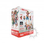 FBD0025 (PRE-OWNED Box B item B) One piece Monkey D Luffy FOR THE NE (3)