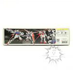 FBD0121 NEW GUNDAM GAT-X105 Aile Strike Gundam (RG) 1’144 Bandai (5)